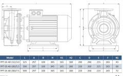 Paslanmaz pompa PPT65- 40-183- 5,5 kw flanşlı