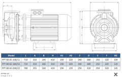 Paslanmaz pompa  PPT80-65-168/11 kw flanşlı