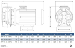 Paslanmaz pompa PPT80-65-200/22 kw flanşlı